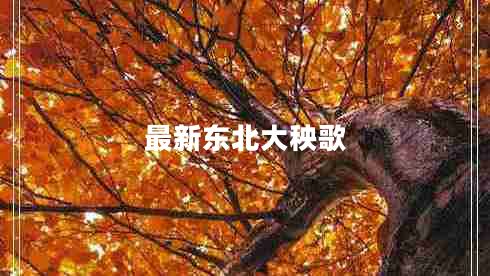 最新东北大秧歌