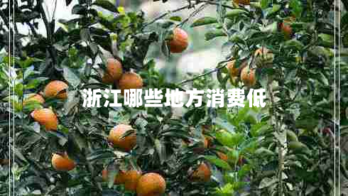 浙江哪些地方消费低