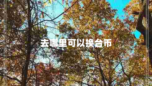 去哪里可以换台币