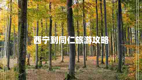 西宁到同仁旅游攻略
