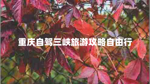 重庆自驾三峡旅游攻略自由行