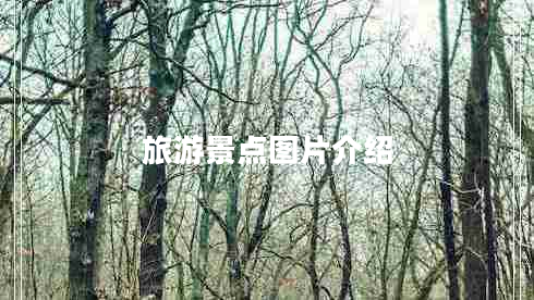 旅游景点图片介绍