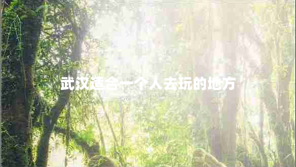 武汉适合一个人去玩的地方