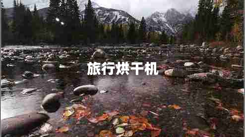旅行烘干机