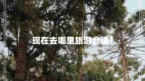 现在去哪里旅游合适?