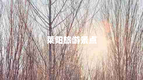 莱阳旅游景点