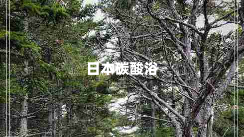 日本碳酸浴