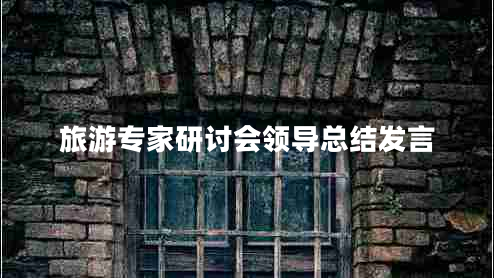 旅游专家研讨会领导总结发言