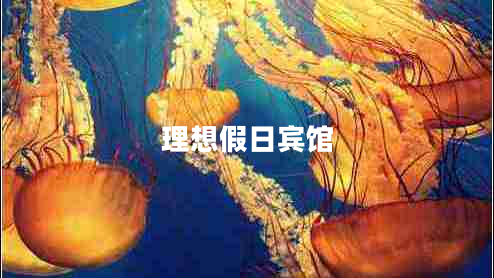 理想假日宾馆 理想假日宾馆