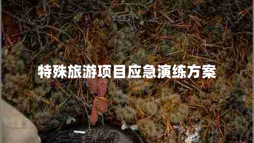 特殊旅游项目应急演练方案