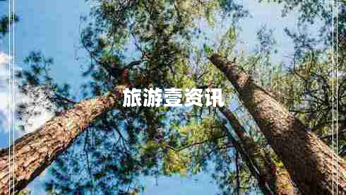 旅游壹资讯