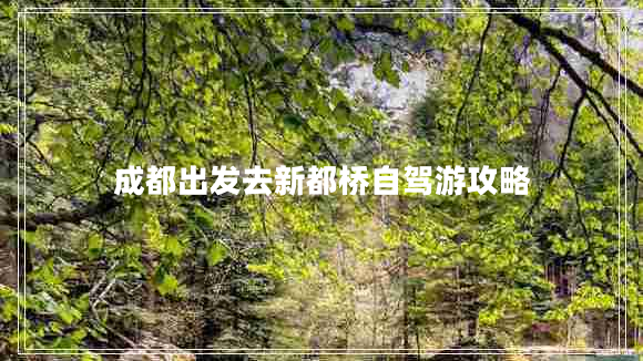 成都出发去新都桥自驾游攻略
