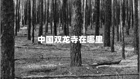 中国双龙寺在哪里