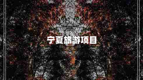 宁夏旅游项目