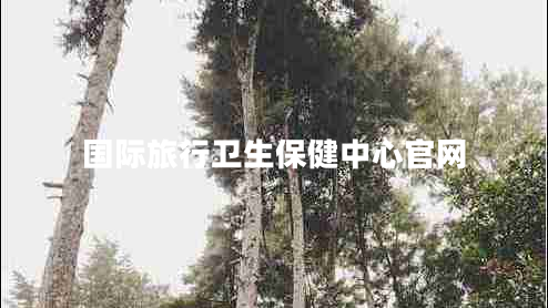 国际旅行卫生保健中心官网