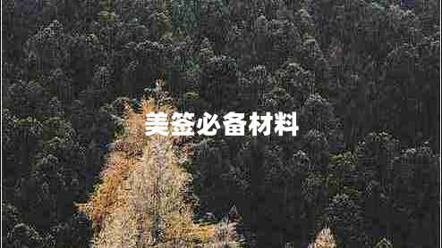 美签必备材料