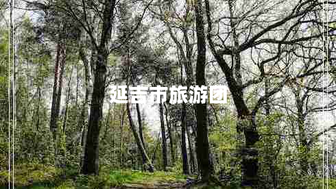 延吉市旅游团