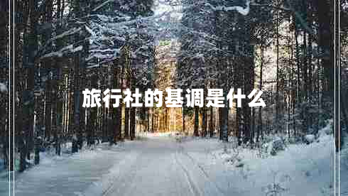 旅行社的基调是什么 旅行社的基调是什么