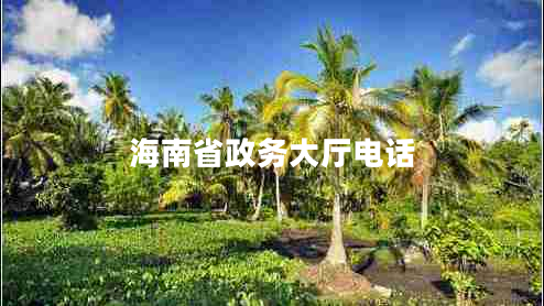 海南省政务大厅电话