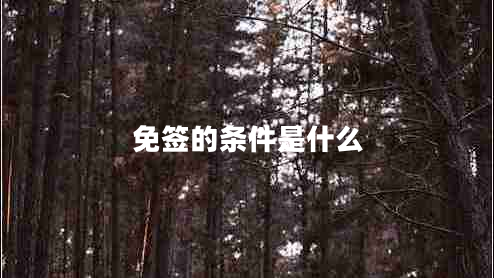 免签的条件是什么