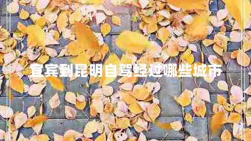 宜宾到昆明自驾经过哪些城市