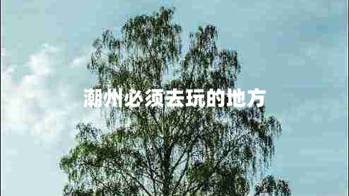 潮州必须去玩的地方