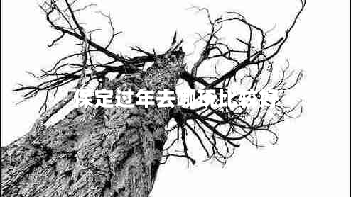 保定过年去哪玩比较好