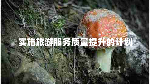 实施旅游服务质量提升的计划