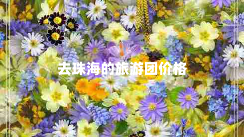 去珠海的旅游团价格
