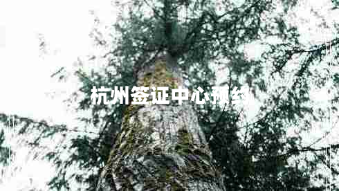 杭州签证中心预约