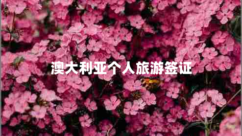 澳大利亚个人旅游签证