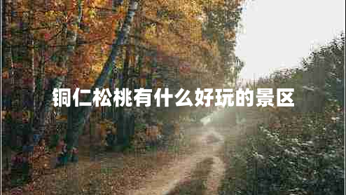 铜仁松桃有什么好玩的景区