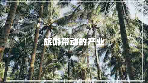 旅游带动的产业