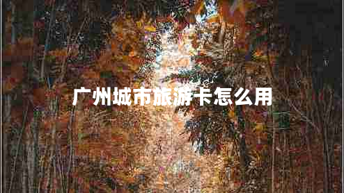 广州城市旅游卡怎么用