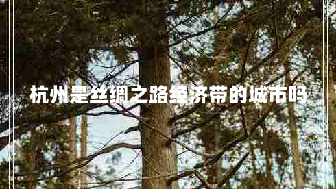 杭州是丝绸之路经济带的城市吗