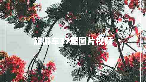 旅游车37座图片视频