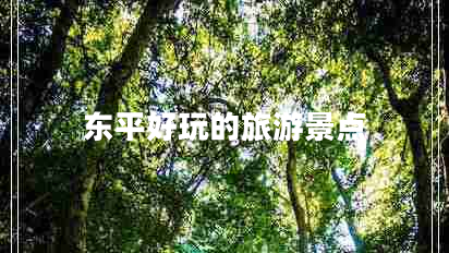 东平好玩的旅游景点