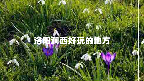 洛阳涧西好玩的地方