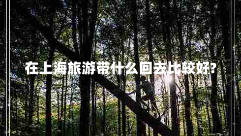 在上海旅游带什么回去比较好? 在上海旅游带什么回去比较好?