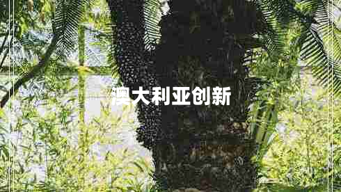 澳大利亚创新
