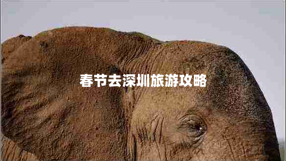 春节去深圳旅游攻略 春节去深圳旅游攻略