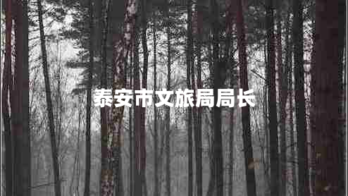 泰安市文旅局局长