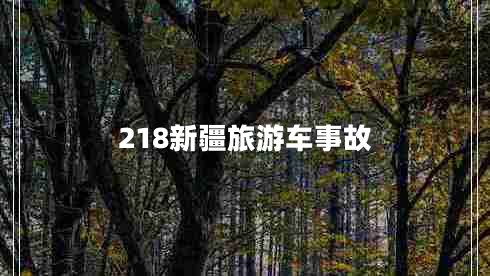 218新疆旅游车事故