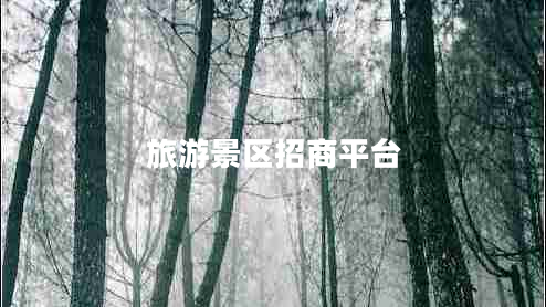 旅游景区招商平台