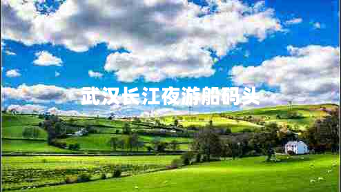 武汉长江夜游船码头