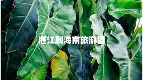 湛江到海南旅游团