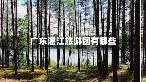 广东湛江旅游团有哪些 广东湛江旅游团有哪些