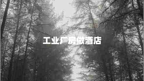 工业厂房做酒店 工业厂房做酒店