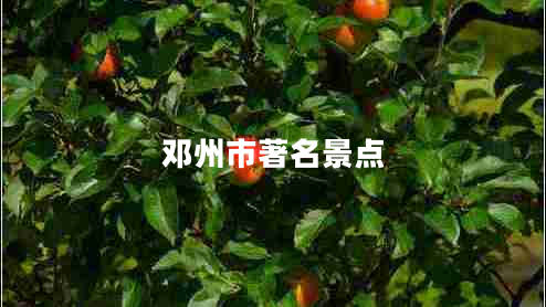 邓州市著名景点