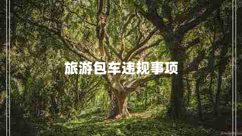 旅游包车违规事项